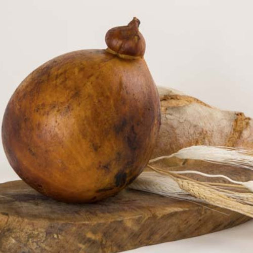 Caciocavallo ahumado